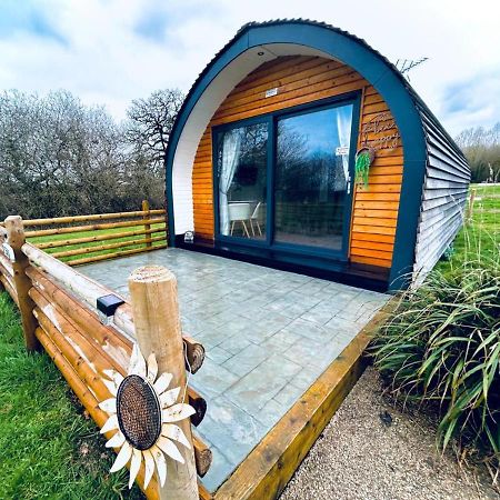 Beech Pod Cabin In Beautiful Surroundings Wrexham Luaran gambar